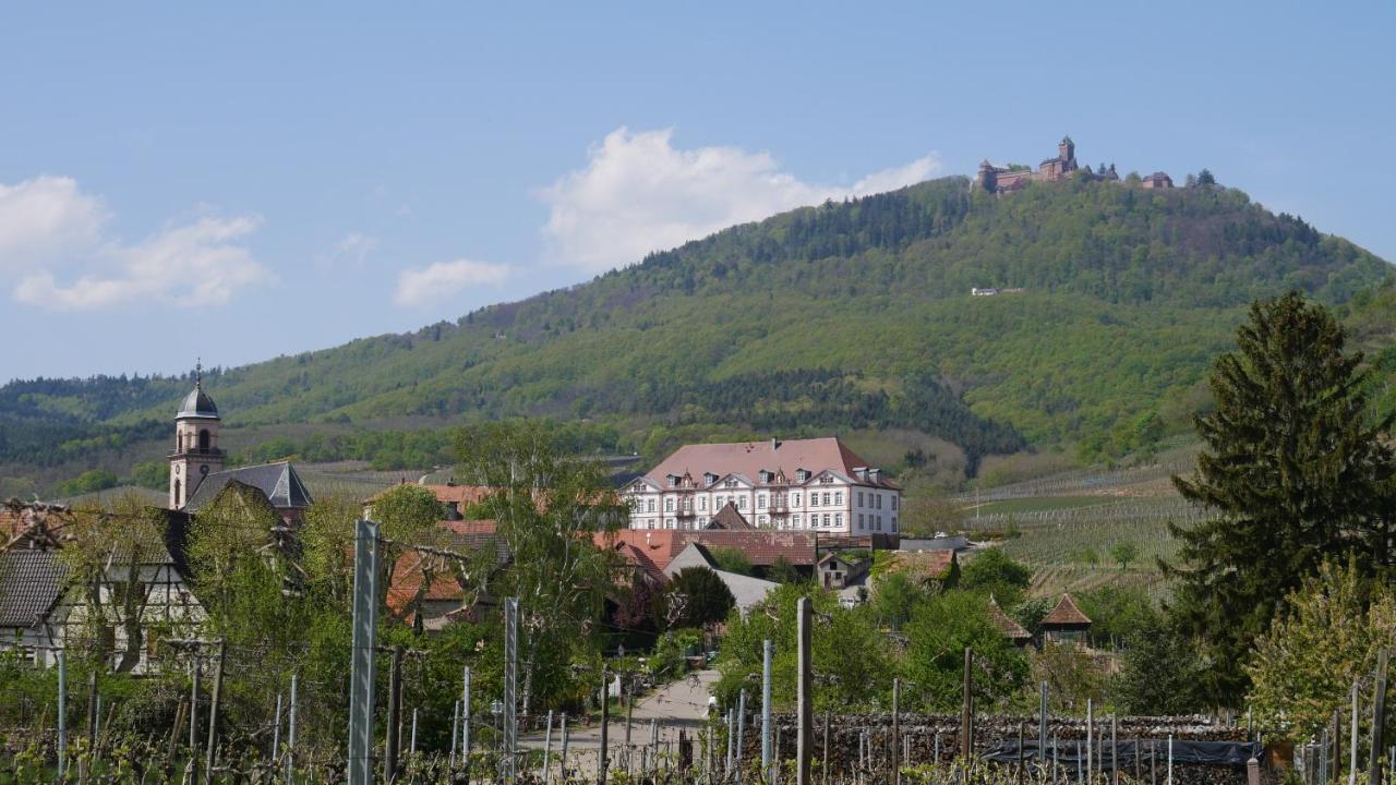 La Cour St-Fulrad - Appartements Saint-Hippolyte  Buitenkant foto