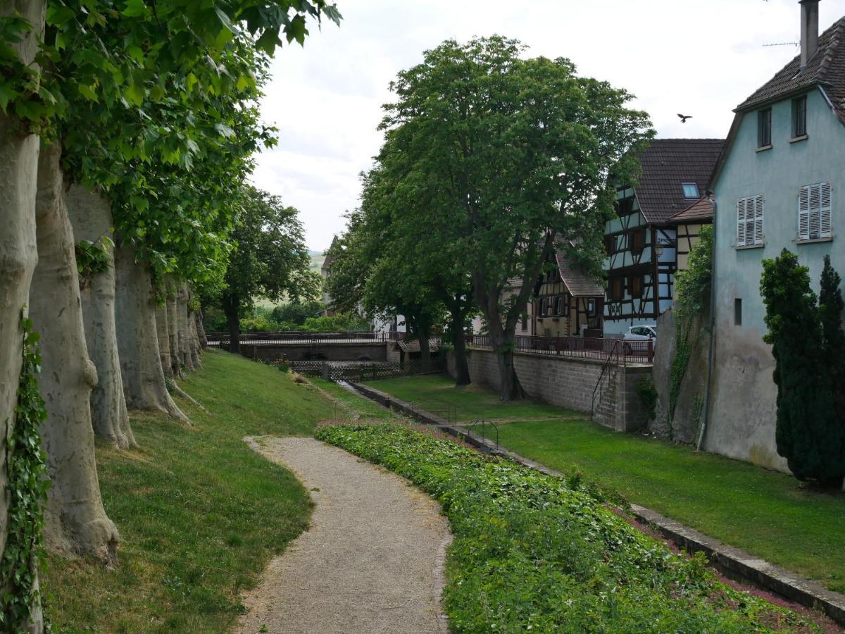 La Cour St-Fulrad - Appartements Saint-Hippolyte  Buitenkant foto